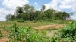 The site of the POW camp at Sandakan, Northern Borneo