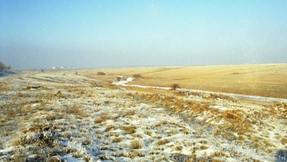 In November 1942, the Red Army advanced across this land near Stalingrad