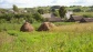 300,000 Soviet soldiers died near Kursk, in the fields of western Russia