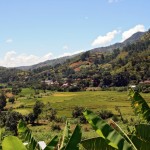 iStock_000005675893Small